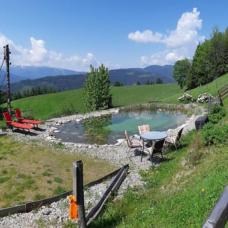 Haus Mauken - Appartments Mit Panoramablick Murau Kültér fotó