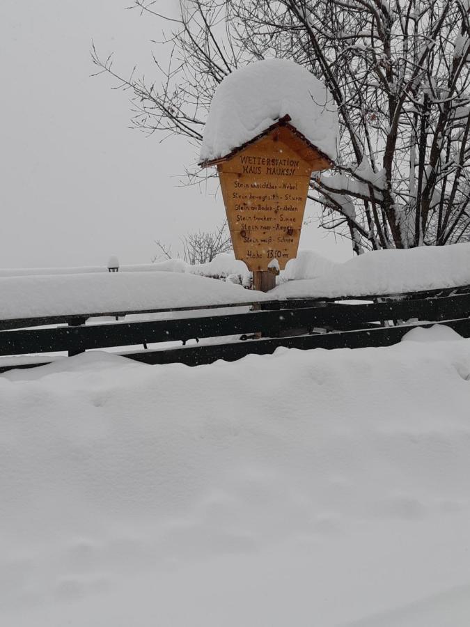 Haus Mauken - Appartments Mit Panoramablick Murau Kültér fotó