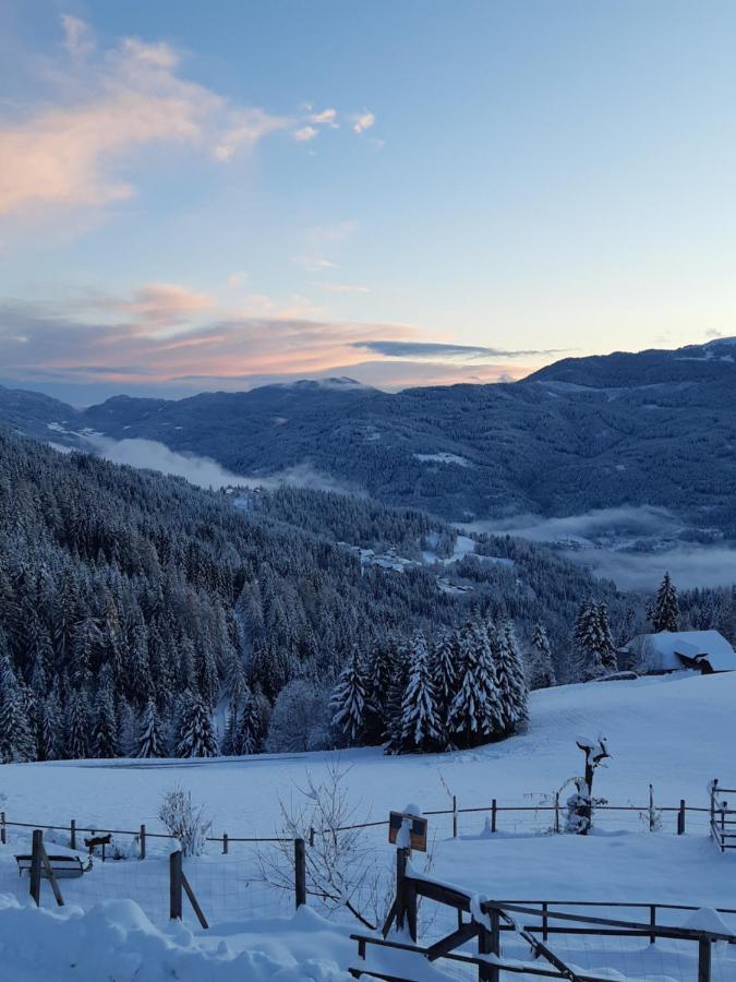 Haus Mauken - Appartments Mit Panoramablick Murau Kültér fotó