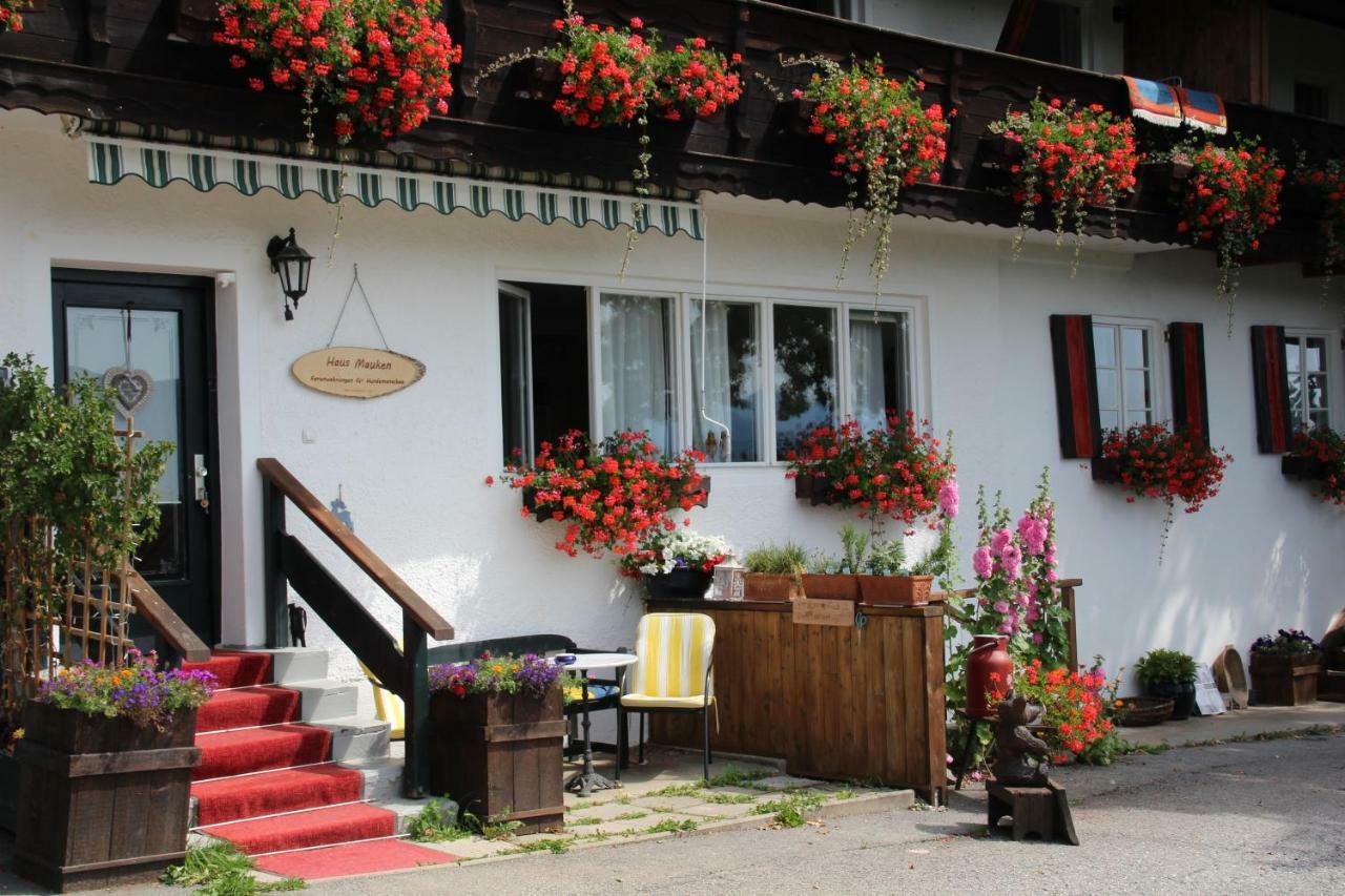 Haus Mauken - Appartments Mit Panoramablick Murau Kültér fotó