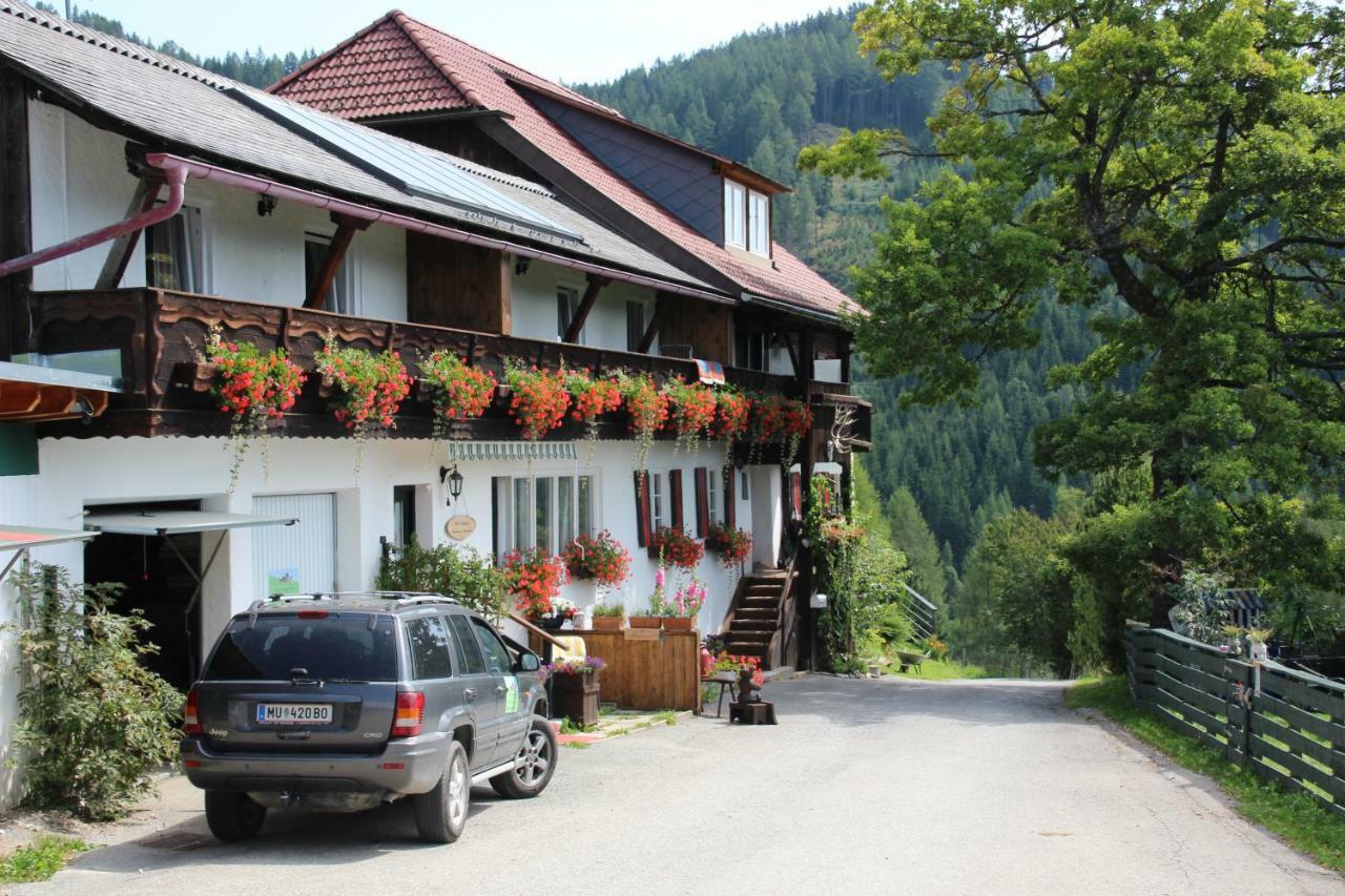 Haus Mauken - Appartments Mit Panoramablick Murau Kültér fotó