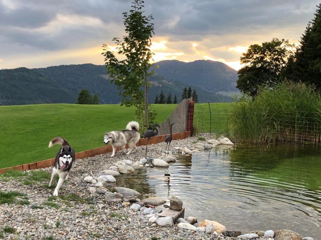 Haus Mauken - Appartments Mit Panoramablick Murau Kültér fotó