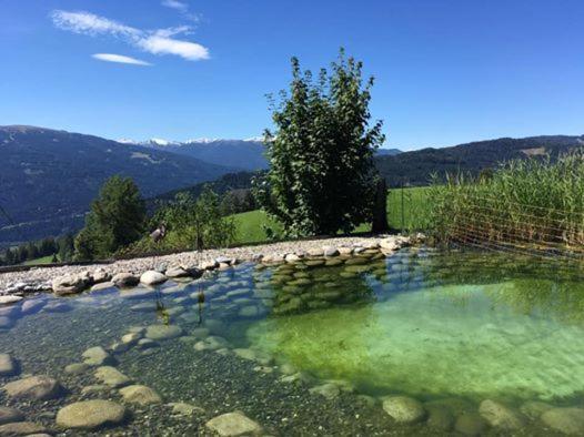 Haus Mauken - Appartments Mit Panoramablick Murau Kültér fotó