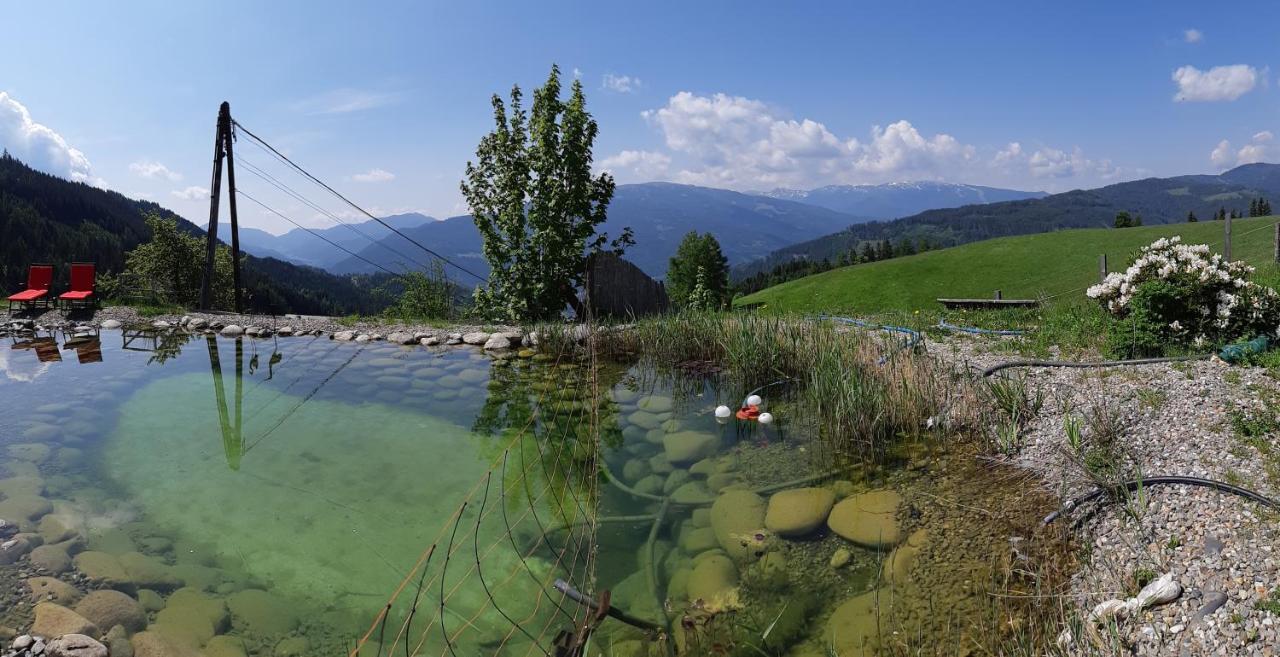 Haus Mauken - Appartments Mit Panoramablick Murau Kültér fotó